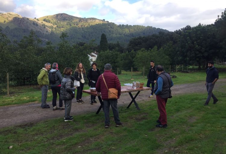 Visita i tastet a Formatges Tramuntana (Pollença)