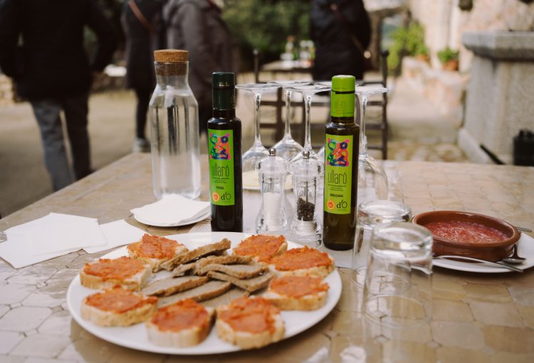 Tastet a Son Alzines (Escorca)