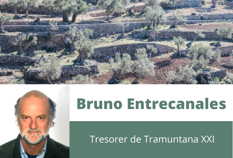 Destil·lat del punt de vista d’un propietari de la Serra