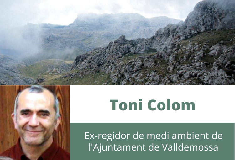 Camina, caminaràs…