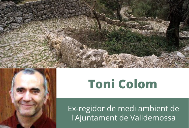 Camina, caminaràs… (La llei de camins que volem)