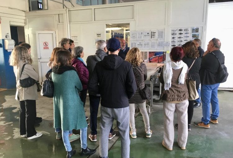 Visita a la Llotja de peix de Palma