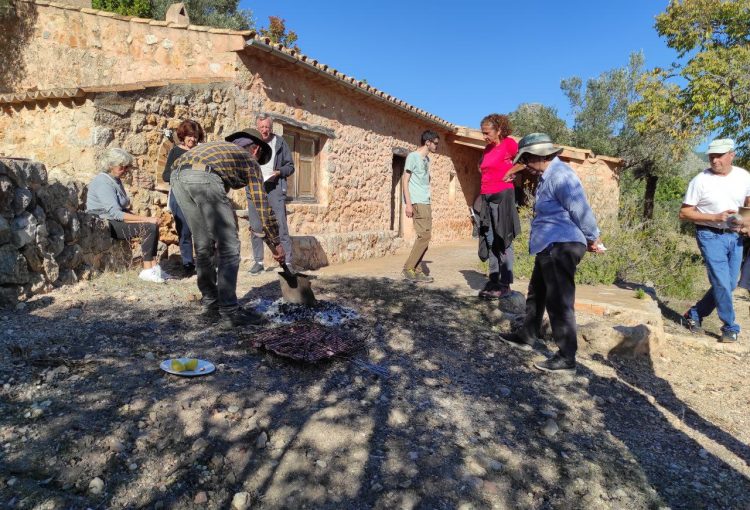 Tast de mè ecològic a Es Coll Gomar