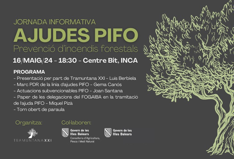 Jornada informativa: ajudes PIFO