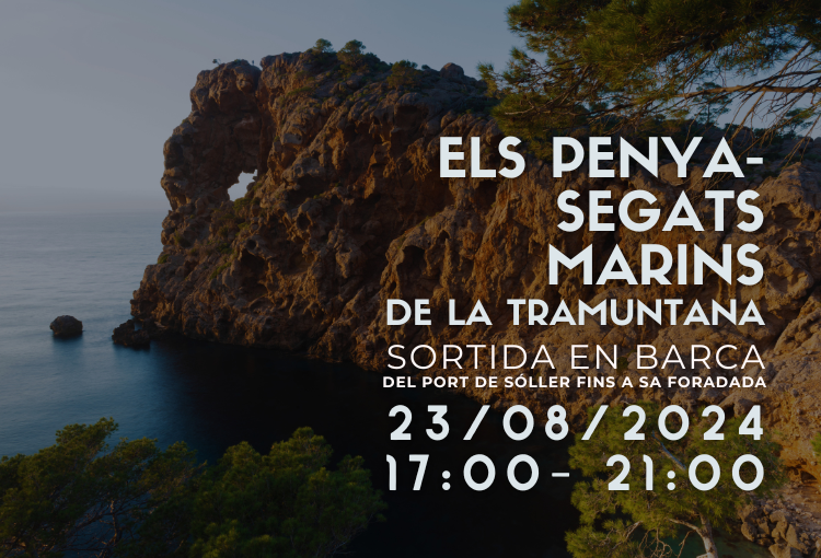 Sortim en barca des del Port de Sóller fins Sa Foradada