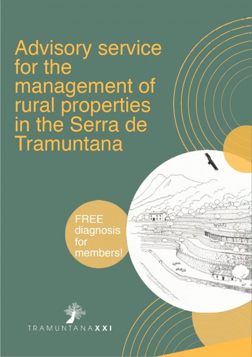 advisory service brochure